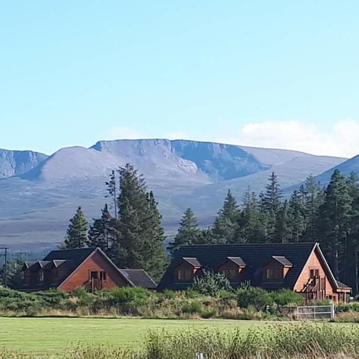 Badaguish Forest Lodges And Camping Pods Aviemore Buitenkant foto