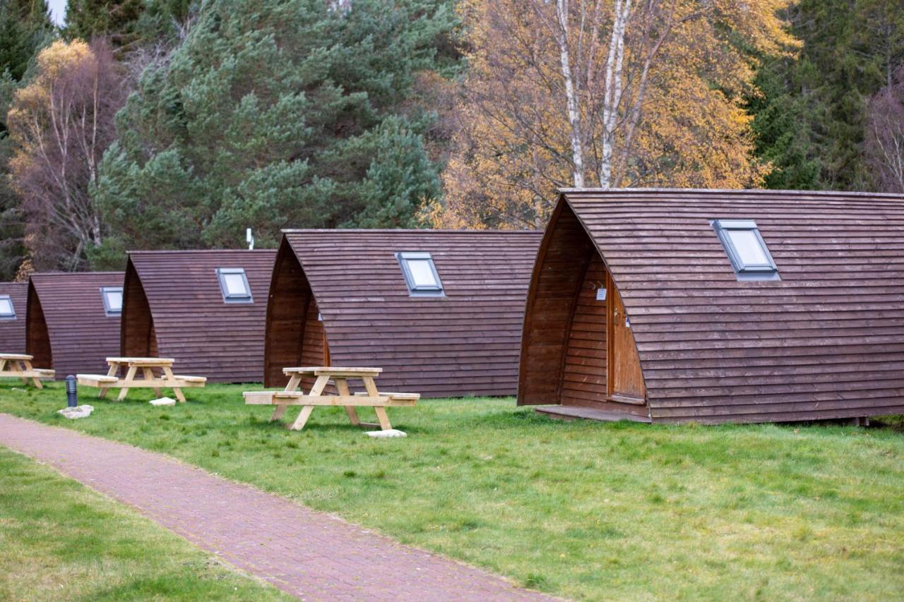 Badaguish Forest Lodges And Camping Pods Aviemore Buitenkant foto