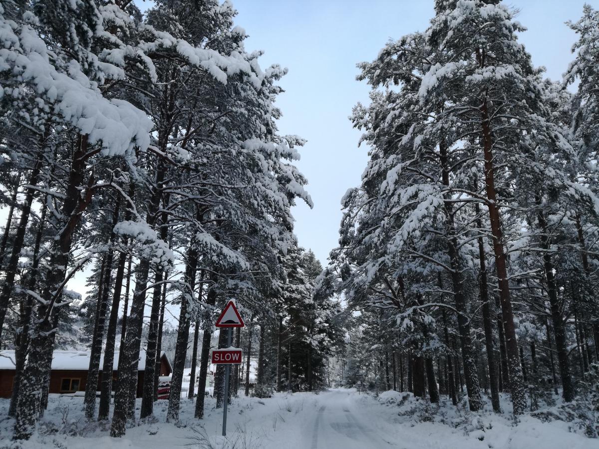 Badaguish Forest Lodges And Camping Pods Aviemore Buitenkant foto