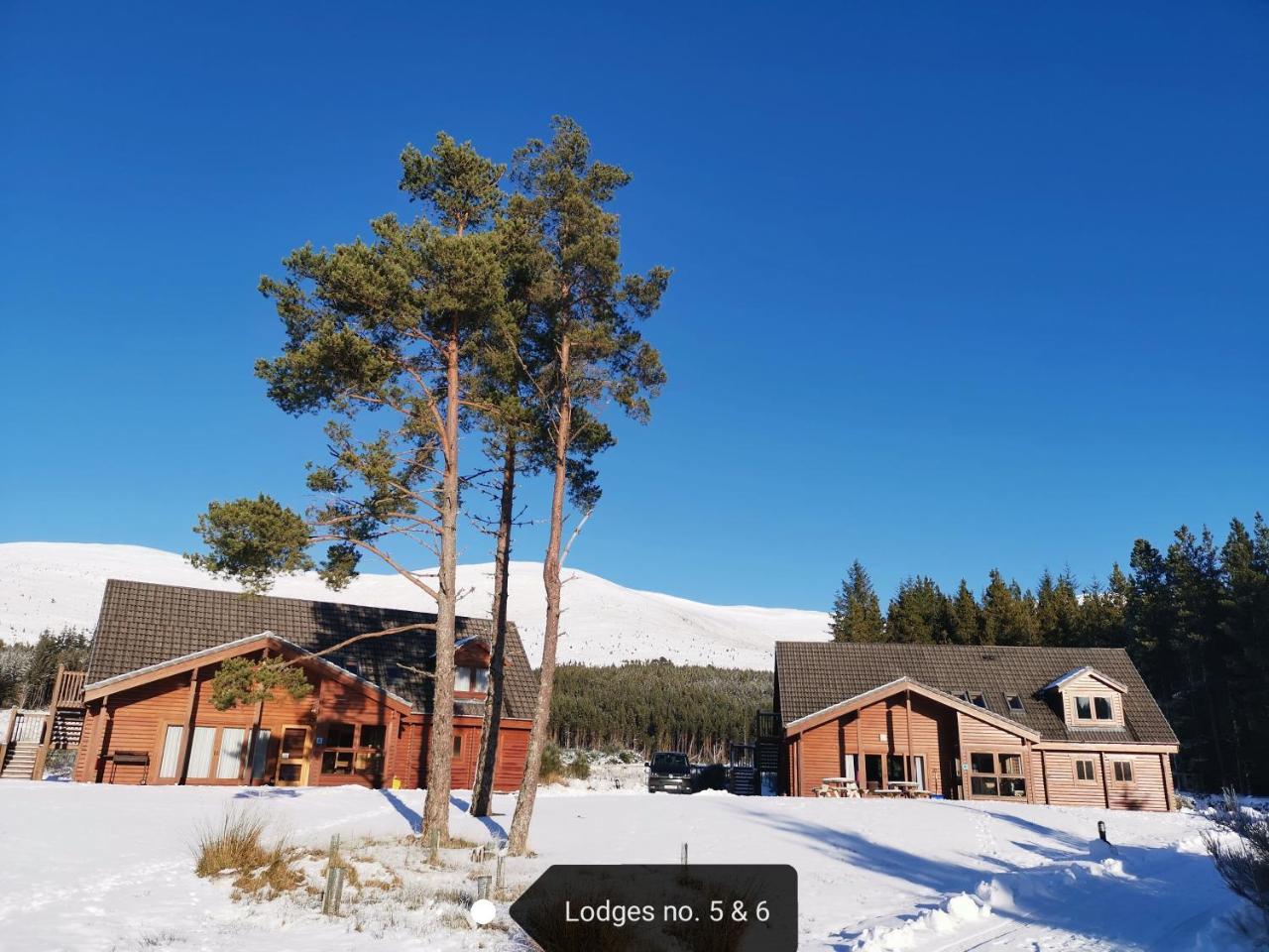 Badaguish Forest Lodges And Camping Pods Aviemore Buitenkant foto