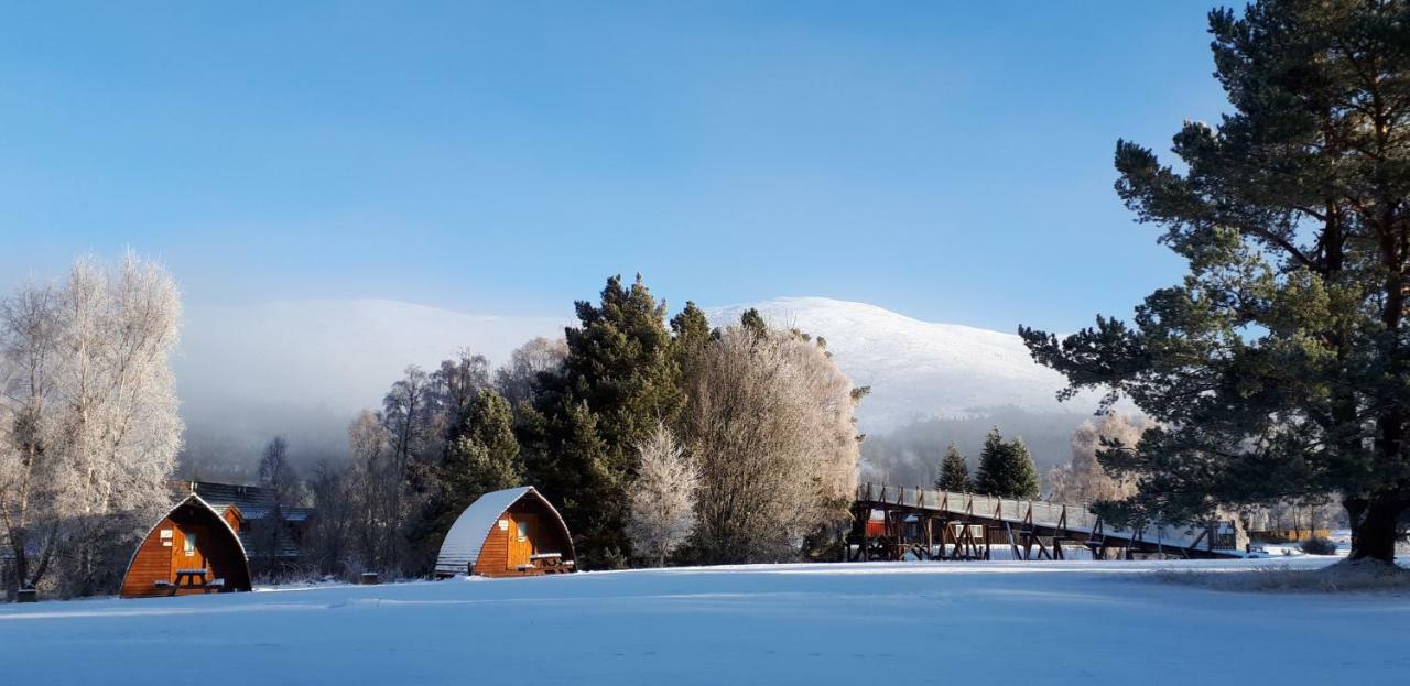 Badaguish Forest Lodges And Camping Pods Aviemore Buitenkant foto